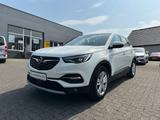 Opel Grandland Business Elegance - Opel Grandland (X) Business-Elegance mit Benzin-Antrieb