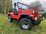 Jeep Mahindra CJ540, Jeep, Allrad, AHK - Jeep CJ: Cj5