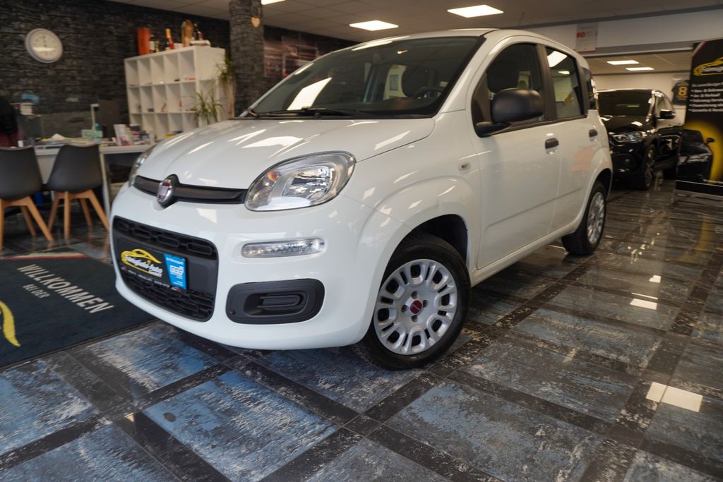 Image of Fiat Panda