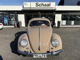 Volkswagen Käfer Ovali Export - Oldtimer