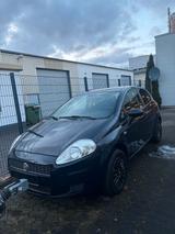 Fiat Punto - Fiat Punto in Bonn