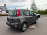Fiat Panda Easy - graue Fiat Panda