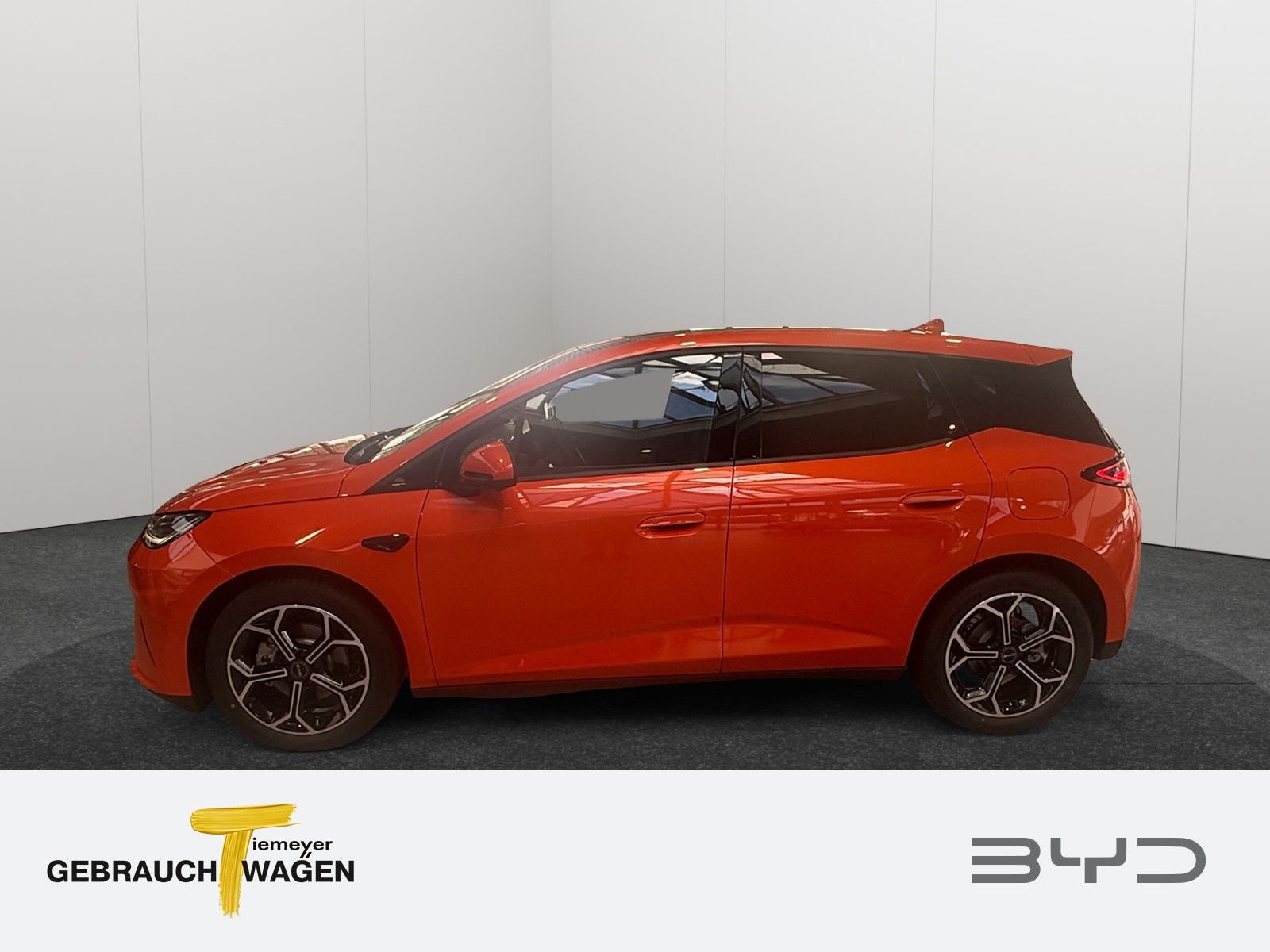BYD DOLPHIN