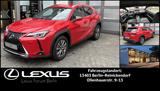 Lexus UX300e Komfort Plus *Allwetterreifen* - Lexus Elektroautos