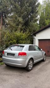 Audi a3 8p Zylinderkopfdichtung defekt - Audi: Zylinder
