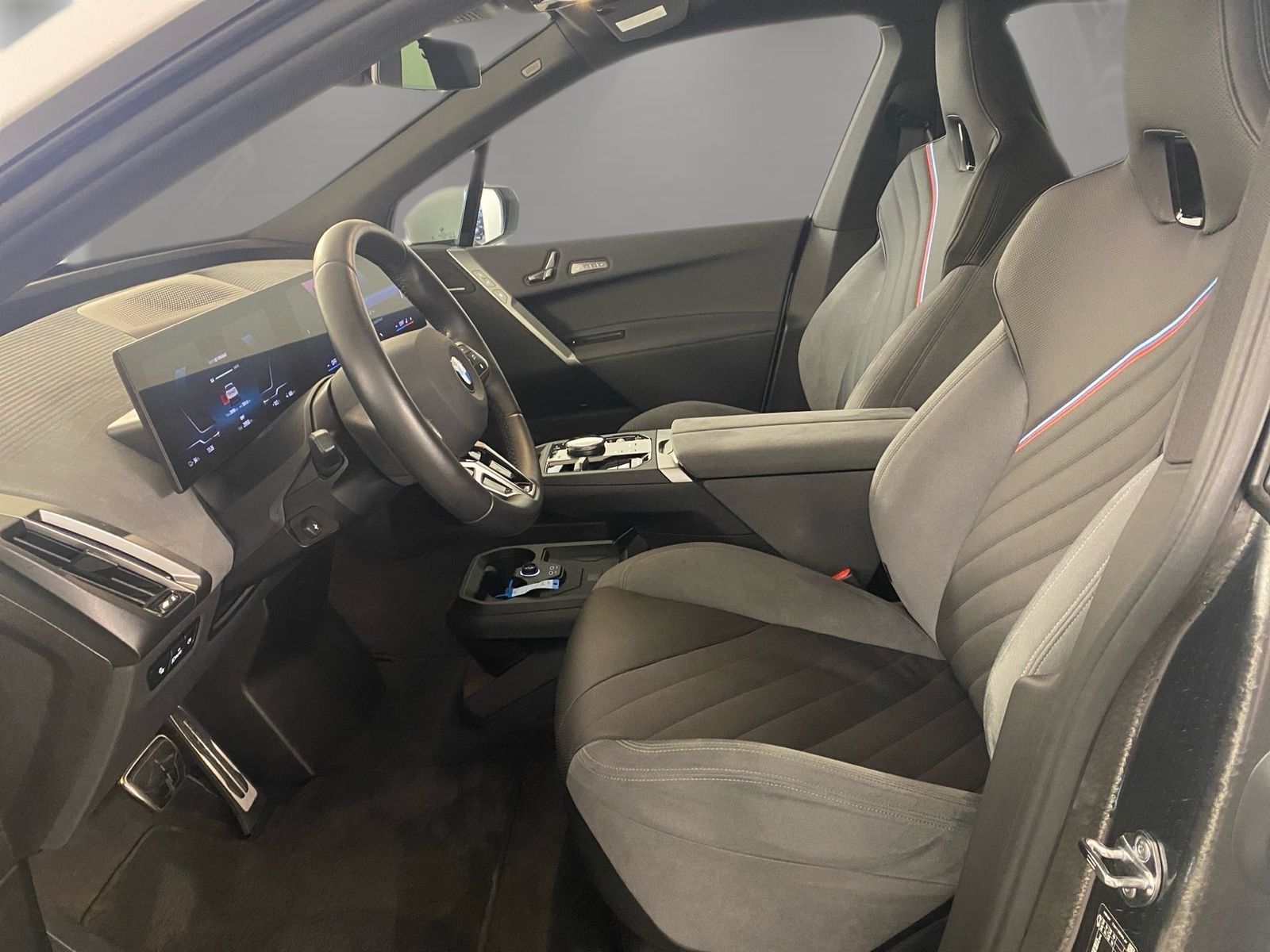 BMW iX xDrive45 M Sport AHK Driv.Assist.Prof Kamera foto 9
