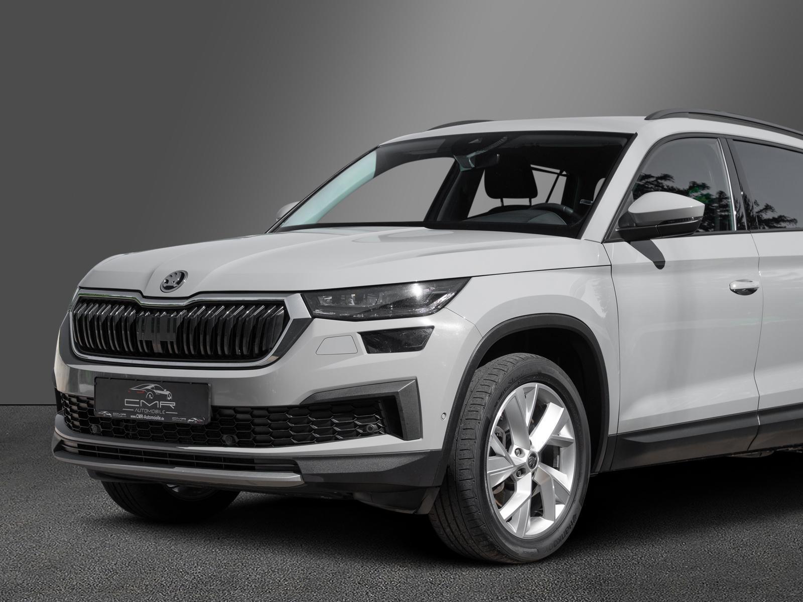 Skoda Kodiaq Tour 4x4 AHK Columbus Family DAB+