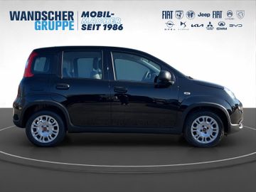 Fiat Panda Hybrid 1.0 GSE Klma+DAB+Isofix+Allwetter