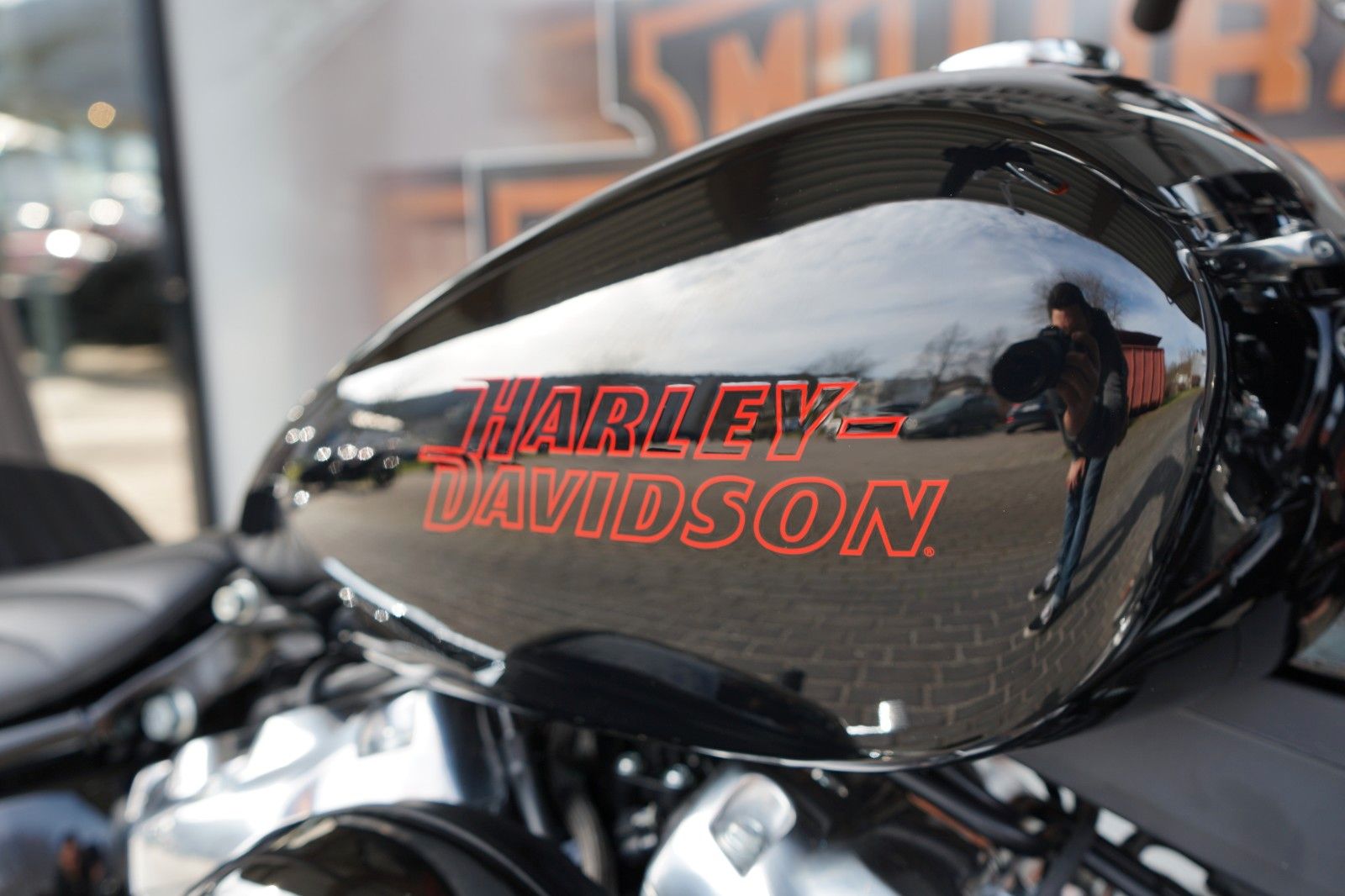 Fahrzeugabbildung Harley-Davidson Softail Standard 2024 mit TZ