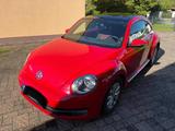 Volkswagen Beetle 2.0 TDI DSG Design Design - VW Beetle Diesel von 2012