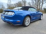 Ford Mustang 5.0 Ti-VCT V8 GT GT - Ford Mustang Gebrauchtwagen in Braunschweig