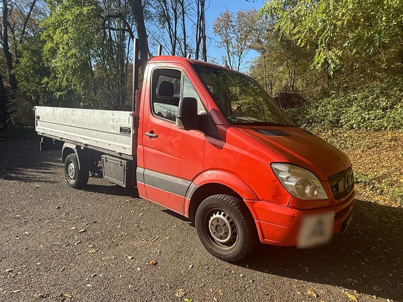 Mercedes-Benz Mercedes Benz 313 Sprinter Pritsche