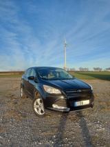 Ford Escape (Kuga) 2014 | 1.6 EcoBoost | AWD - Ford Escape Gebrauchtwagen