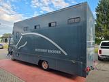 DAF AE 45 LF Pferdetransporter - Offers