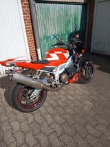 Aprilia Tuono 1000 RR - APRILIA TUONO 1000