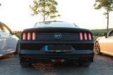Ford Mustang Coupe V8 GT EU-Modell  - Ford Mustang in Köln
