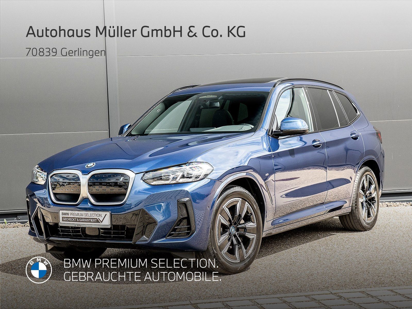 BMW iX3 Inspiring M Sportpaket ACC LED Kamera GSD 1V