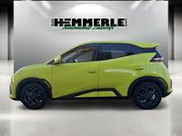 BYD DOLPHIN SURF Comfort*!!!!!!!ONLINEPREIS!!!!!