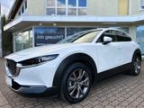 Mazda CX-30  2,0 Ltr. LED Navi Leder 360°-Kamera Euro6 - Mazda: Cx6