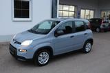 Fiat Panda  1,0  Mild Hybrid - Fiat Panda Gebrauchtwagen in Augsburg