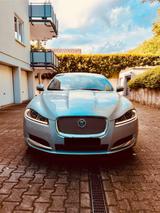 Jaguar XF 3.0 L V6 Diesel - PREMIUM LUXURY EDITION  - Jaguar XF: Edition