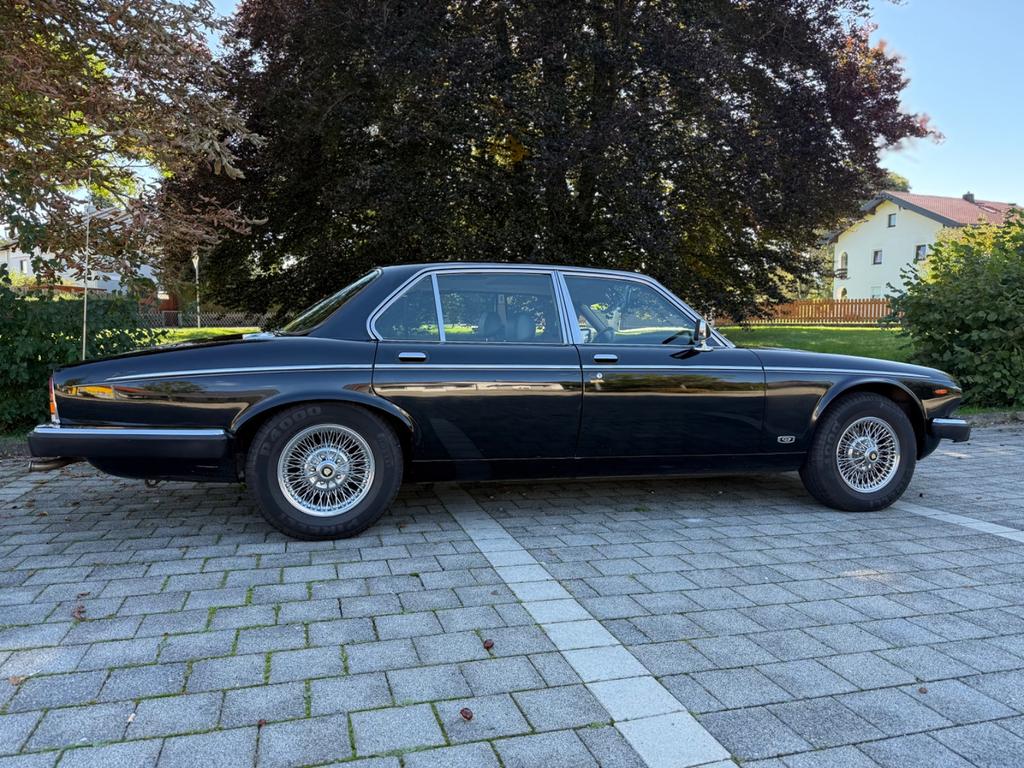 Jaguar XJ12
