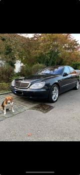 Mercedes-Benz S 320 - gebrauchte Mercedes-Benz S 320 aus dem Jahr 1999
