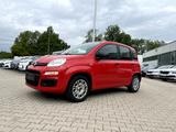 Fiat Panda 1.2 8V Easy 5 Sitzer *Klimaanlage DAB+* - Fiat Panda: 1.1