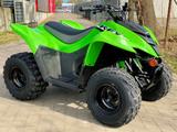 Kawasaki KFX 90 Neu, Kinder/Teenie Quad, sofort - Offers matching your search criteria