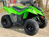 Kawasaki KFX 90 Neu, Kinder/Teenie Quad, sofort - BENZIN QUAD KINDER