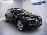 Audi Q5 50 TDI quattro Sport S-Line AHK NAVI ACC PANO - Audi Q5 Gebrauchtwagen in Freiburg