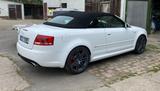 Audi RS4 4.2 quattro Cabriolet mit Schalensitzen - Audi RS4: Weiß
