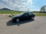 BMW 2x E36 318i/320i - BMW 318 aus 1993: 318i E36