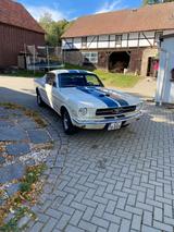 Ford Mustang Fastback 1965 im Shelby GT De... - Ford Mustang aus 1965: Fastback