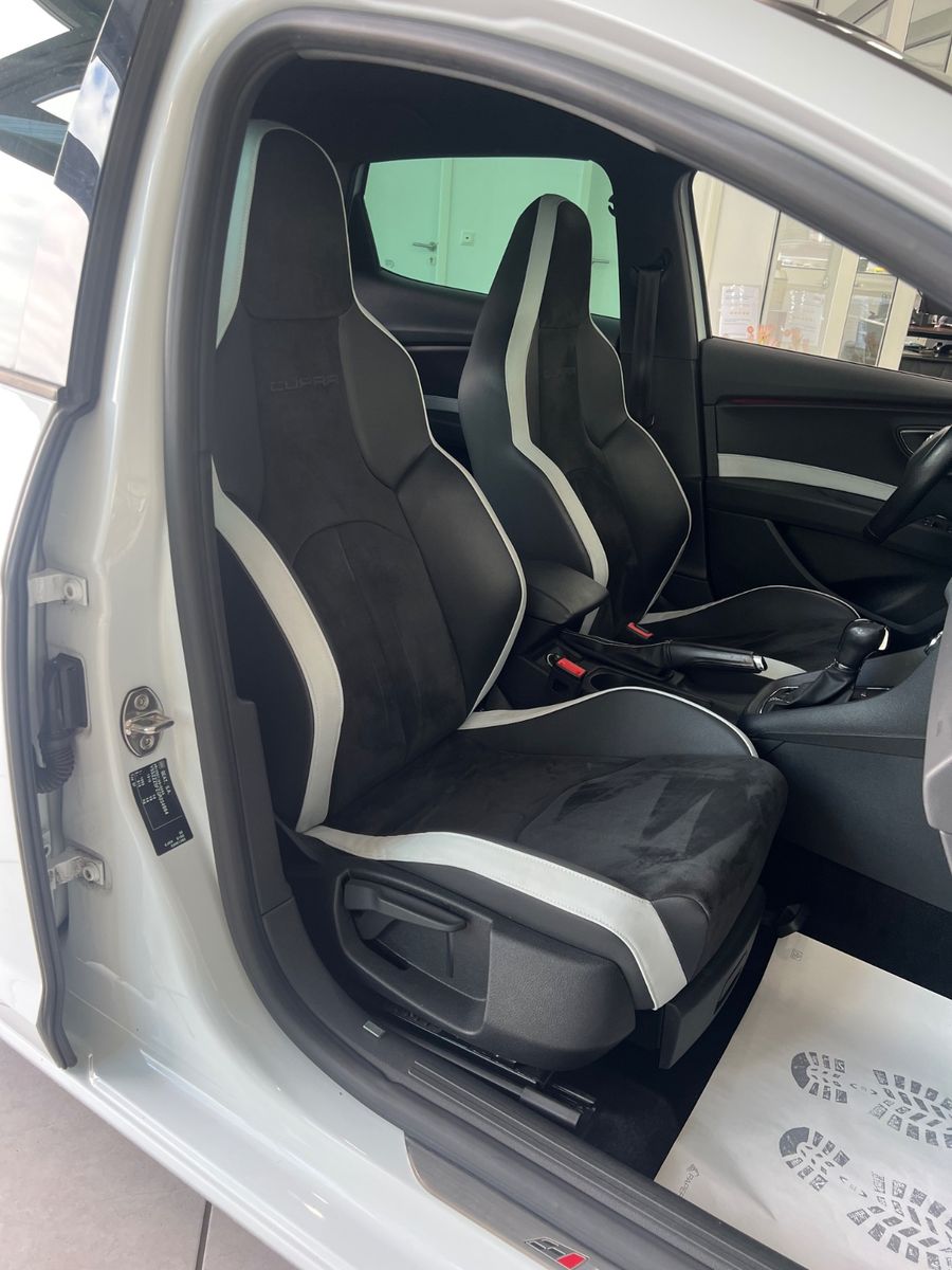 Fahrzeugabbildung SEAT Leon Cupra 290 DSG * SCHALENSITZE *