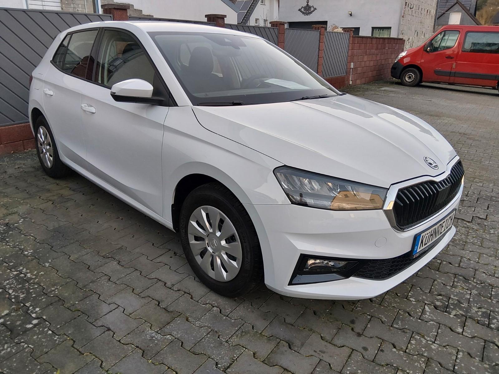 Skoda Fabia 1.0l TSI 85kW Drive mit TZ