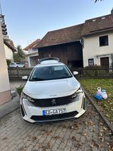 Peugeot 5008 BlueHDi 130 EAT8 Roadtrip / 7 Sitzplätze  - Peugeot 5008 von privat