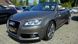 Audi A3 Cabriolet Ambition S-Line Automatik Leder - Audi A3: Ambition Line