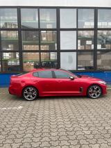 Kia Stinger 3.3 T-GDI AWD GT GT - Kia Stinger von privat