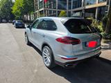 Porsche Cayenne Diesel  zu verkaufen / Familienbetrieb - Porsche Cayenne in Bochum