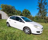 Fiat Bravo Bj. 2009   1,4 16 V 173000 km - Fiat Bravo: Kleinwagen