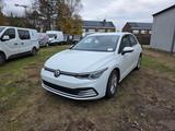 Volkswagen Golf 8 (Stock ID 91314) - Volkswagen Golf mit Diesel-Antrieb: Kleinwagen