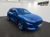 Ford Kuga 2.0 Diesel AWD ST-Line X + Fahrerassistenz+ - Ford Kuga: Allradantrieb, 2.0