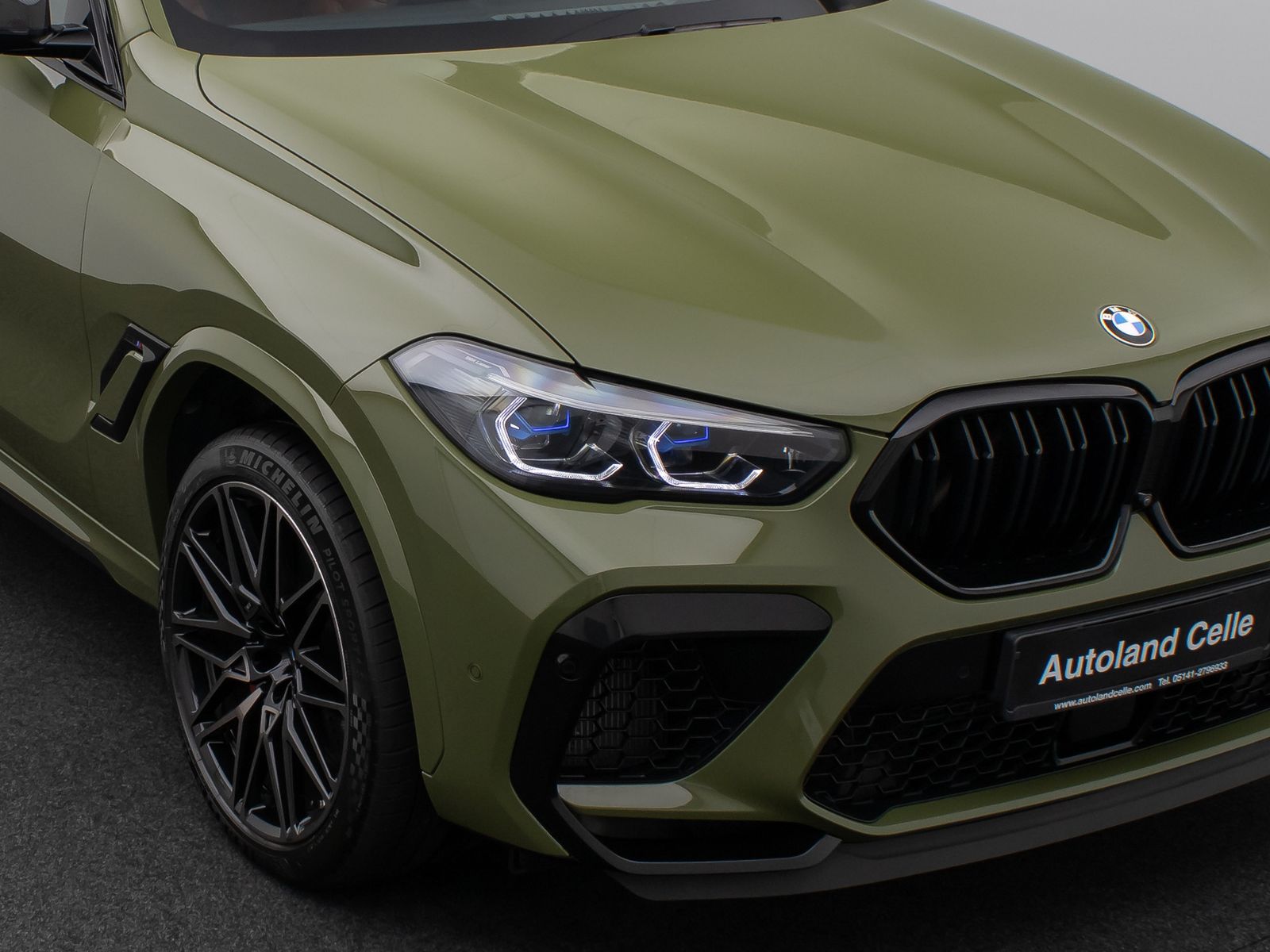 Fahrzeugabbildung BMW X6 M Competition Individual Panorama SoftCl Voll