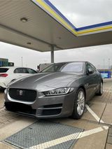 Jaguar XE Portfolio 20d PANO/LEDER/KAMERA/... - Jaguar in Braunschweig