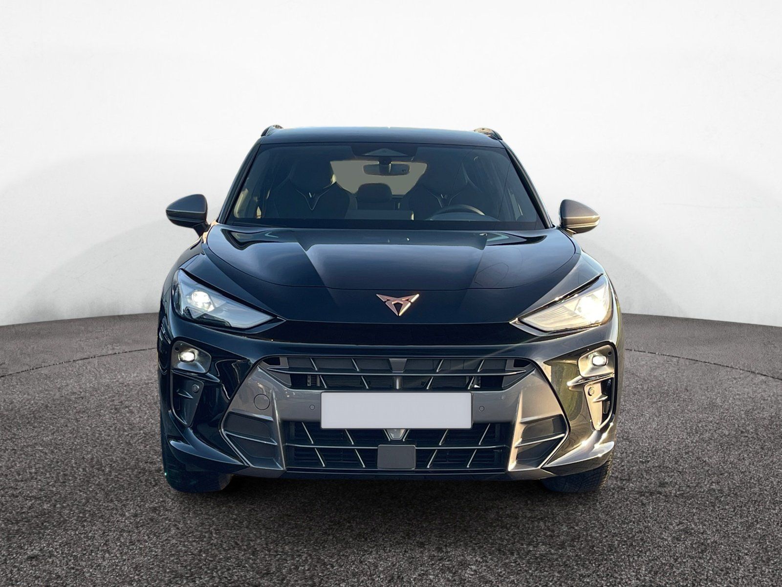 Cupra Terramar - Bild 2