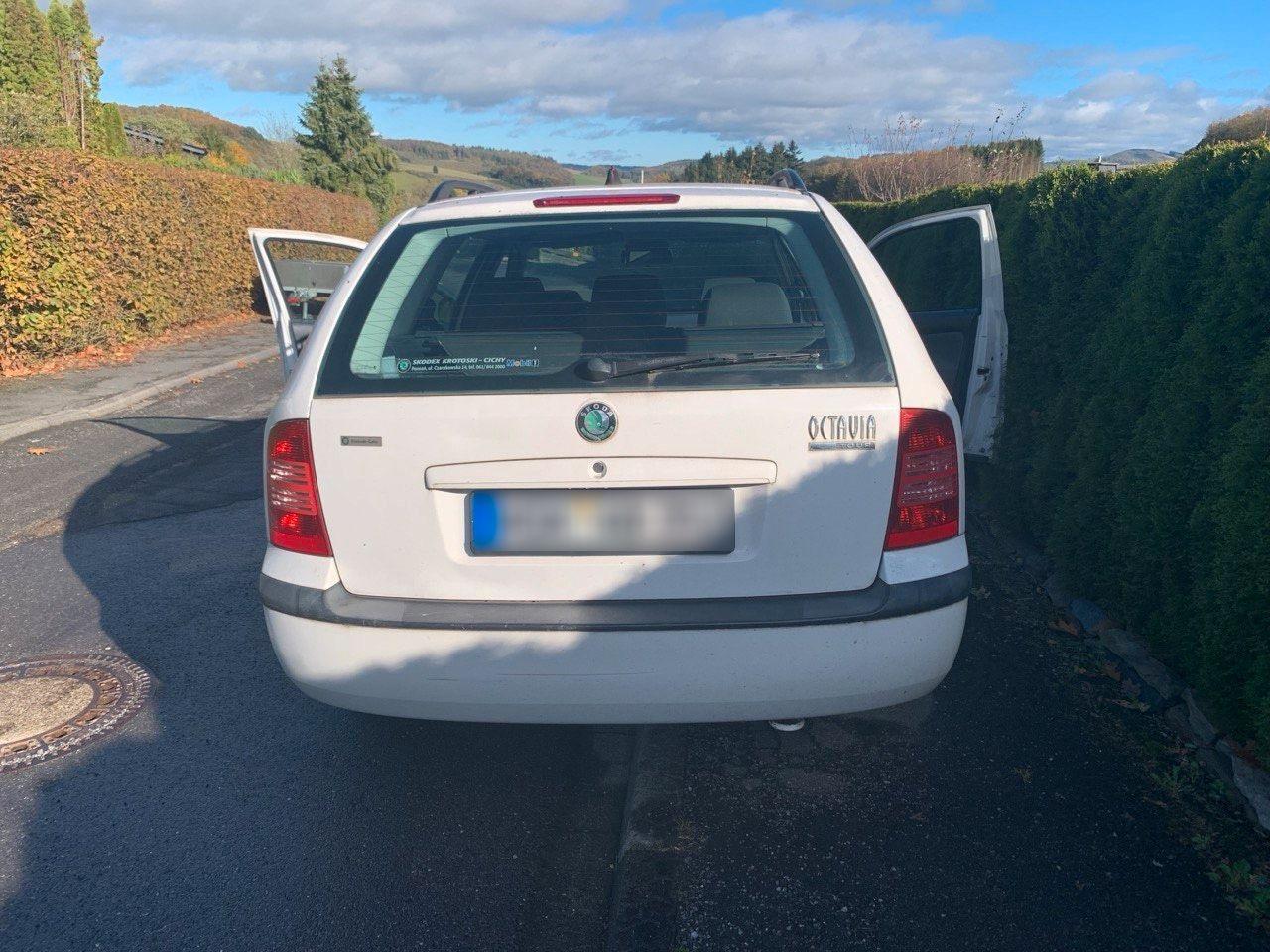 Skoda Octavia 2009 — photo 5