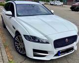 Jaguar XF Sportbrake - Jaguar XF in Bremen