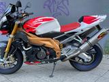 Aprilia Tuono 1000 RR Factory - APRILIA MOTORRAD
