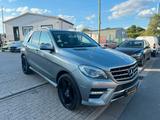 Mercedes-Benz ML 350 ML -Klasse ML 350CDI BlueTec*Panorama*AHK - Mercedes-Benz ML 350 in Essen